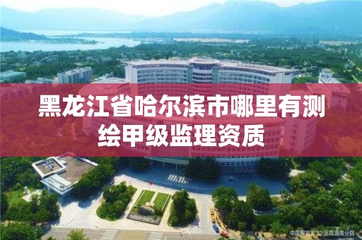 黑龙江省哈尔滨市哪里有测绘甲级监理资质