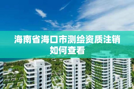 海南省海口市测绘资质注销如何查看