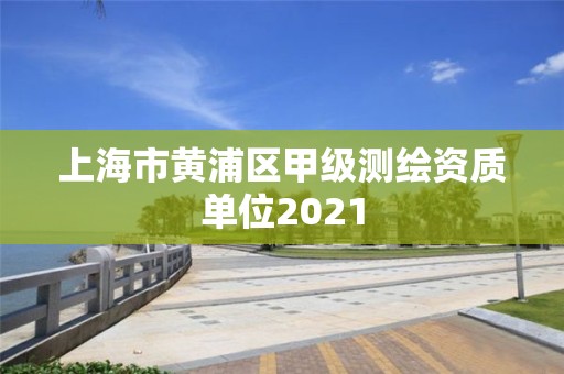 上海市黄浦区甲级测绘资质单位2021