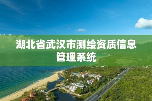 湖北省武汉市测绘资质信息管理系统