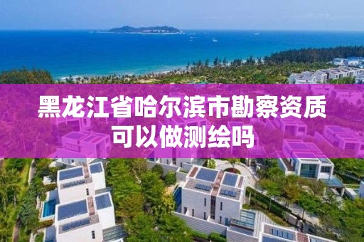 黑龙江省哈尔滨市勘察资质可以做测绘吗