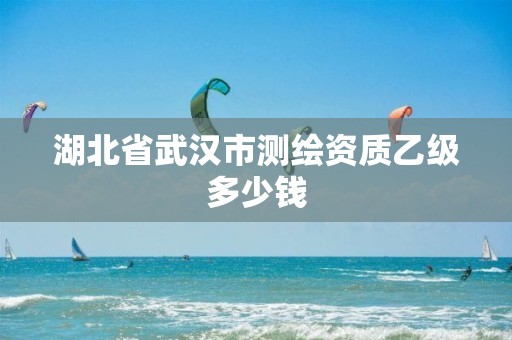 湖北省武汉市测绘资质乙级多少钱