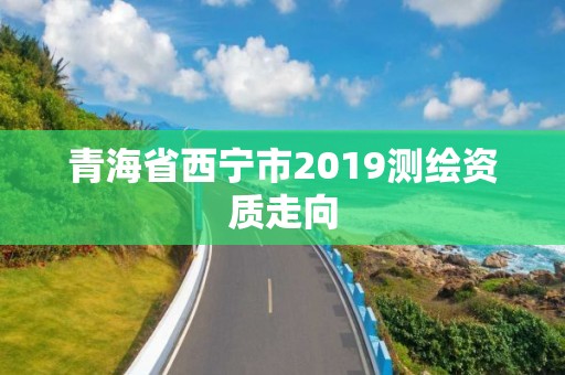 青海省西宁市2019测绘资质走向