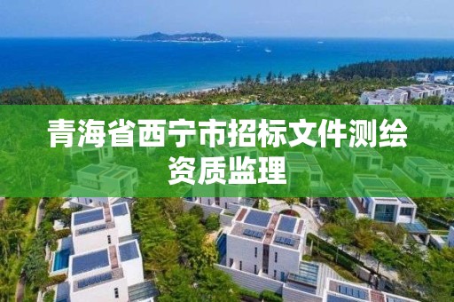 青海省西宁市招标文件测绘资质监理