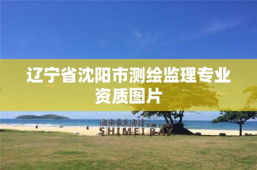 辽宁省沈阳市测绘监理专业资质图片 辽宁省沈阳市测绘监理专业资质图片