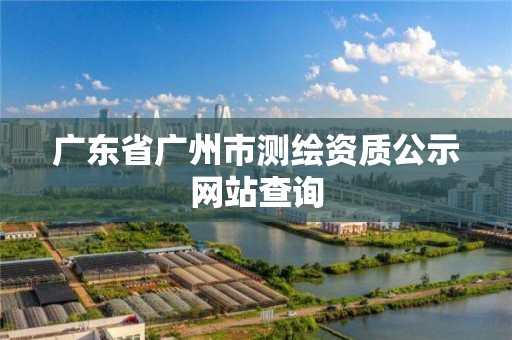 广东省广州市测绘资质公示网站查询