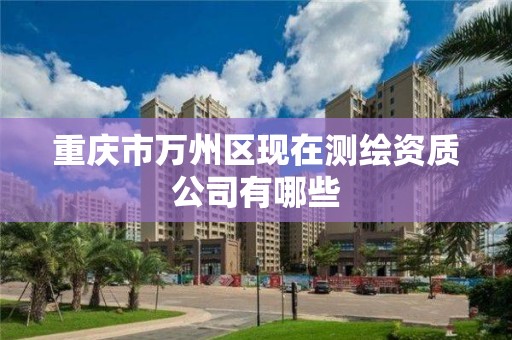 重庆市万州区现在测绘资质公司有哪些