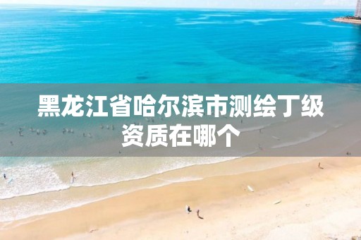 黑龙江省哈尔滨市测绘丁级资质在哪个