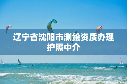 辽宁省沈阳市测绘资质办理护照中介