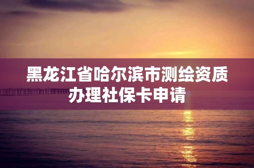 黑龙江省哈尔滨市测绘资质办理社保卡申请