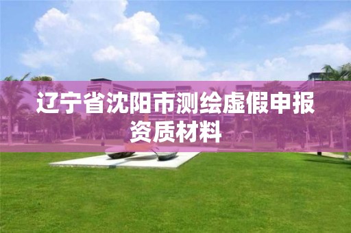 辽宁省沈阳市测绘虚假申报资质材料