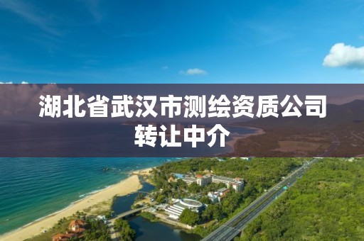 湖北省武汉市测绘资质公司转让中介