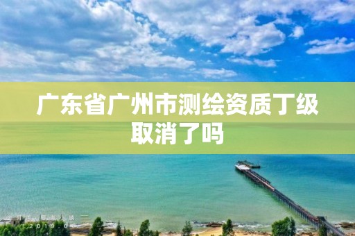 广东省广州市测绘资质丁级取消了吗