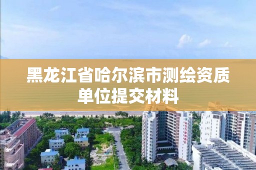 黑龙江省哈尔滨市测绘资质单位提交材料