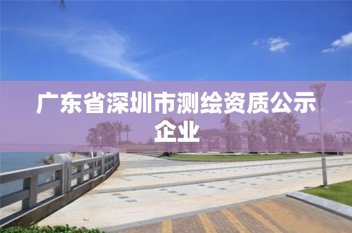 广东省深圳市测绘资质公示企业