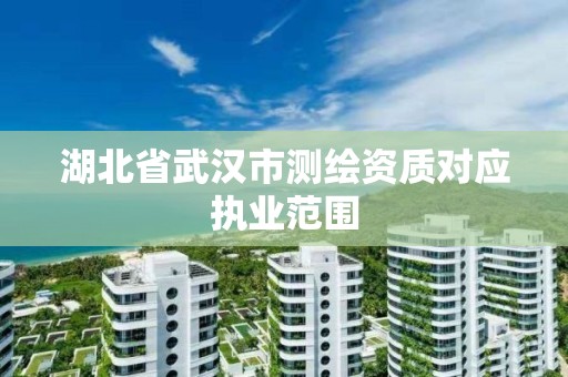 湖北省武汉市测绘资质对应执业范围