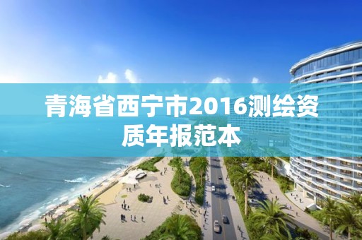 青海省西宁市2016测绘资质年报范本