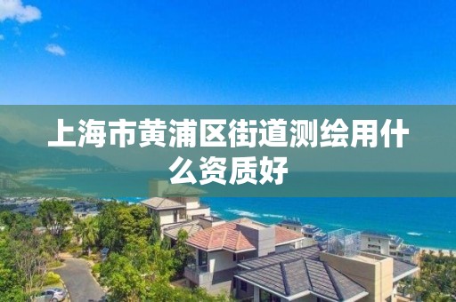 上海市黄浦区街道测绘用什么资质好