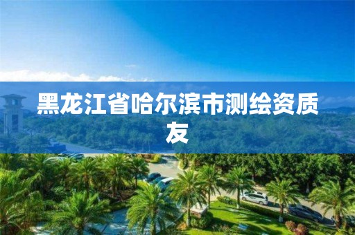 黑龙江省哈尔滨市测绘资质友