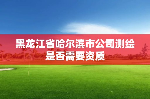 黑龙江省哈尔滨市公司测绘是否需要资质