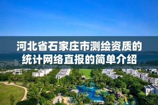 河北省石家庄市测绘资质的统计网络直报的简单介绍