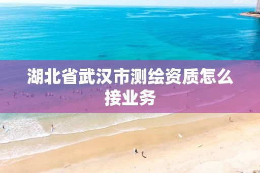 湖北省武汉市测绘资质怎么接业务