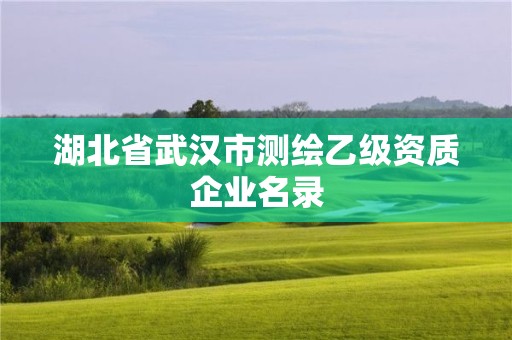 湖北省武汉市测绘乙级资质企业名录