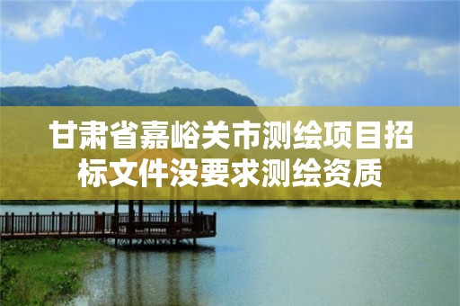 甘肃省嘉峪关市测绘项目招标文件没要求测绘资质