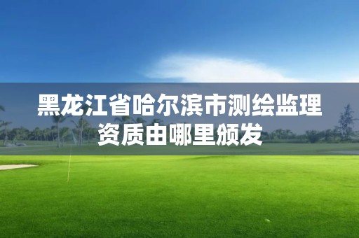 黑龙江省哈尔滨市测绘监理资质由哪里颁发