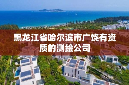 黑龙江省哈尔滨市广饶有资质的测绘公司