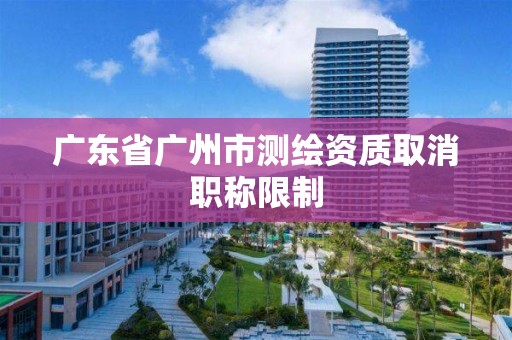 广东省广州市测绘资质取消职称限制