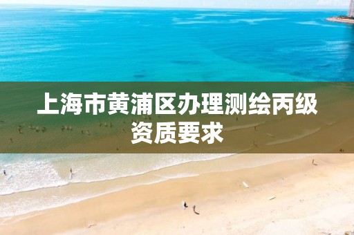 上海市黄浦区办理测绘丙级资质要求