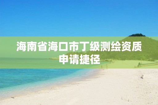 海南省海口市丁级测绘资质申请捷径