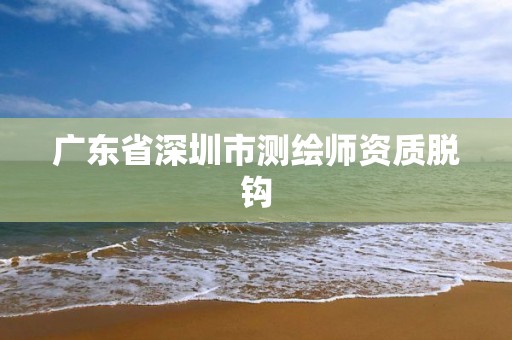 广东省深圳市测绘师资质脱钩