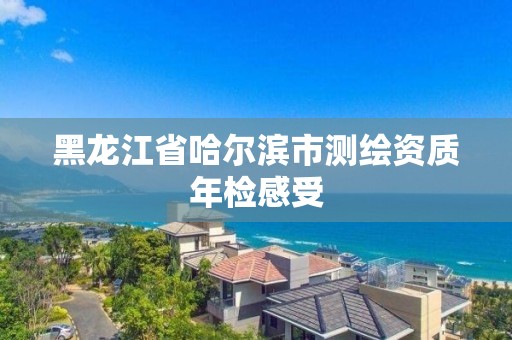 黑龙江省哈尔滨市测绘资质年检感受