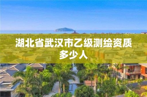 湖北省武汉市乙级测绘资质多少人