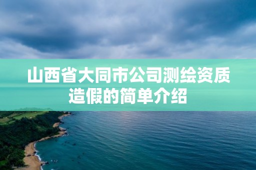 山西省大同市公司测绘资质造假的简单介绍