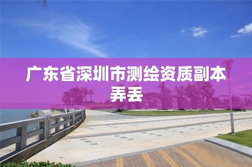 广东省深圳市测绘资质副本弄丢