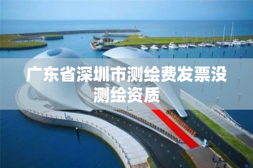 广东省深圳市测绘费发票没测绘资质