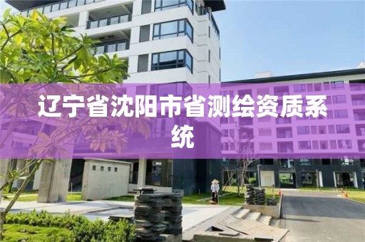 辽宁省沈阳市省测绘资质系统