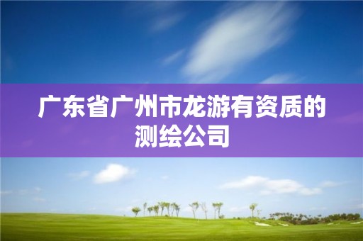 广东省广州市龙游有资质的测绘公司