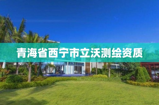 青海省西宁市立沃测绘资质