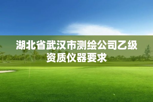 湖北省武汉市测绘公司乙级资质仪器要求