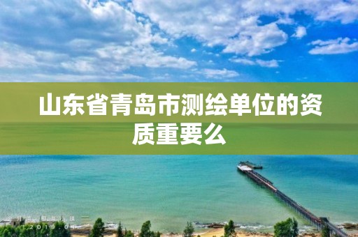 山东省青岛市测绘单位的资质重要么