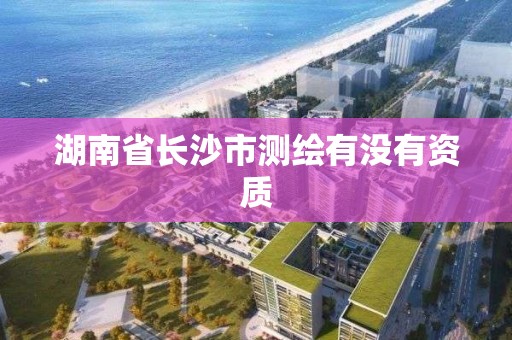 湖南省长沙市测绘有没有资质