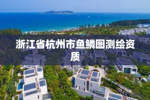 浙江省杭州市鱼鳞图测绘资质