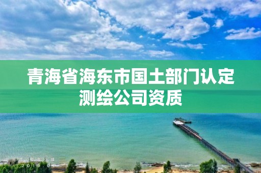 青海省海东市国土部门认定测绘公司资质