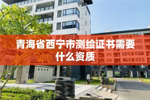 青海省西宁市测绘证书需要什么资质