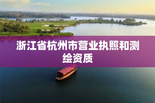 浙江省杭州市营业执照和测绘资质