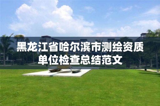 黑龙江省哈尔滨市测绘资质单位检查总结范文